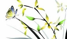 2020年3月11日二月十八生的男孩命运好吗，取什么名字吉祥