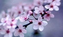 2019年意外之财临头，中大奖发大财的生肖，荣华富贵享之不尽