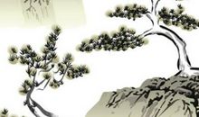 农历2020鼠年大年初一可以扫地吗，千万别招致霉运