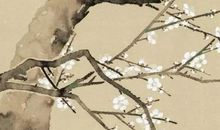 2020年6月5号出生的男孩如何起名字好，五行属什么