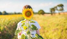 说喜欢却不勇敢的星座有哪些