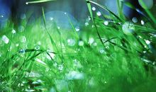 格局清，从格真，乃富贵之格