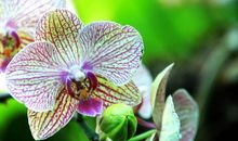 下月开始，事业高升，天赐姻缘，携手到老，有钱有爱的四大生肖