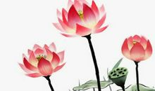 2020年四月出生的宝宝叫什么名字好，鼠年宜用偏旁“口”的字