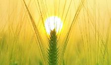 敲黑板！2020年12生肖运势注意项！