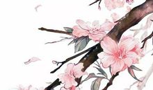 2020年鼠宝宝乳名大全，小名中加入“米”字义寓意最好