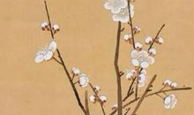 2020年6月8号出生的男孩起什么名字，五行属什么