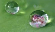 十二星座1月11日运势 大起大落榜：巨蟹座、狮子座、天蝎座