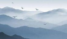 农历2020鼠年大年初二各地都吃什么，什么是初二面风俗