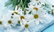 会把事业看得很重的三大星座女