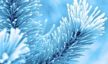 2020年腊月二十日出生的女孩五行缺水起什么名字好？(图文)