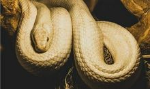 大起底！揭秘12星座男的圆谎伎俩