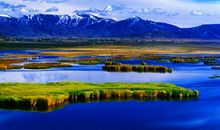 唱歌不走调，能惊艳四座，让人入迷的生肖女