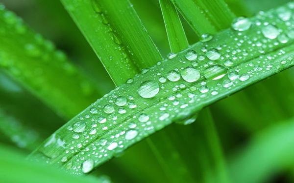 2月财神关照的四生肖，横财如雨，事业步步高升，风调雨顺！ 2