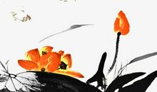 丑时出生五行缺金的女孩取名，这些字属金都可用于取名