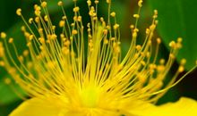 老一辈人常说，生日是这3天的人，婚后生活幸福，事业财运福气旺