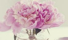 今年你的加薪秘笈会是什么？