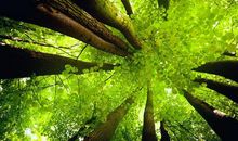 逃不过“吃苦”的三大生肖，但是苦后却能紫气东来，腰缠万贯