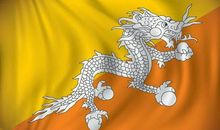 大器晚成！人生先苦后甜，越老越富有的3大生肖