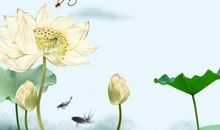 木命人做什么工作好，适合属木的职业