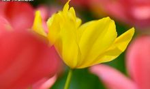 巨蟹座最讨厌什么样的人？