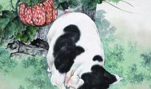 未来七天，贵人如云，容易中大奖走上人生巅峰的生肖！