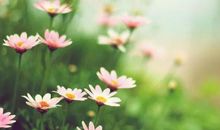 11月逢凶化吉，佛祖赐财，时来运转，一飞冲天的4个生肖