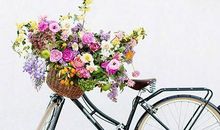 始终认为人品比颜值更重要的星座