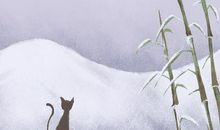 测试你会越长大越幸福吗