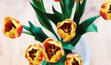 九月中旬，苦日子熬到头，好日子降临，将迎来人生重大转机的生肖