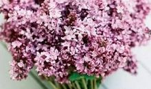 2020年5月和6月生肖属虎和生肖属兔适合订婚的好日子