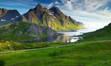 11月事业兴旺，运势红火，福及三代的4生肖，有好运环绕