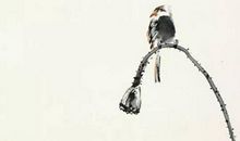 生肖属猴人2020年11月搬家黄道吉日查询，有5天宜入宅乔迁