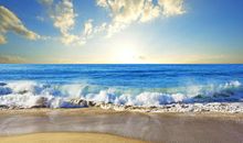 可以把生活过得多姿多彩的生肖女