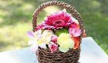 11月，运势反复，3星座渡过难关，苦尽甘来，成功转运！