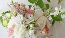 2020年5月和6月生肖属牛和生肖属马订婚黄道吉日查询