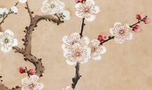 2020年5月30号闰四月初八生的女孩是什么命，起什么名字好