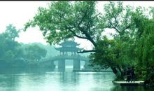 2020年1月水瓶座桃花运怎么样，遇到心上人吗