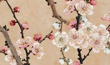 2020年5月31号闰四月初九生的女孩是什么命，起什么名字高分