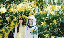 柒爸2019年12月十二星座危机预警