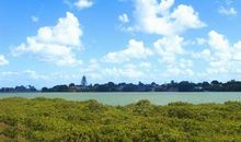 属兔女和属鼠男的相配吗 婚姻状况怎么样(图文)