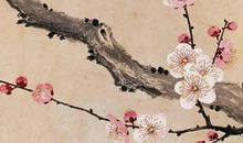 2020年5月28号闰四月初六日生的男孩命运好吗，起什么名字好