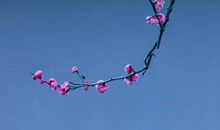 2020年12月12号出生的女孩根据楚辞起名字，五行八字