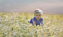 时髦有气质的生肖猪女宝名