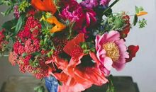 2020年5月和6月生肖属牛和生肖属猪最佳订婚黄道吉日