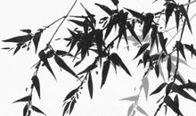 生肖属牛人2020年12月适合搬家的好日子，共有6天宜入宅乔迁