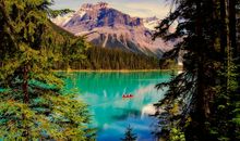 命里注定有一次桃花劫，一生要有两次婚姻的3大生肖女！