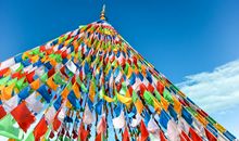 未来1月，横财挡不住，运势蒸蒸日上，事业红火的4大生肖