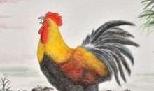 十二生肖中，2020年起贵人如云，瑞气盈门，家财数不清4生肖