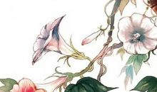 生辰八字起名：2020年8月31号出生的女孩起什么名字好